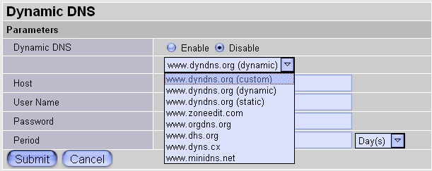 dynamic dns